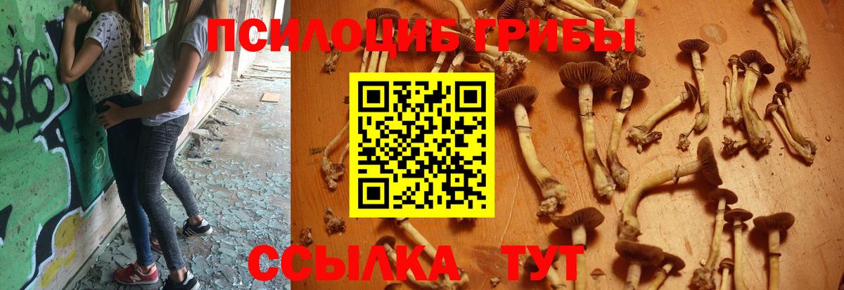 Псилоцибиновые грибы Psilocybine cubensis  Псилоцибиновые грибы Magic Shrooms  Батайск  Вход с VPN 